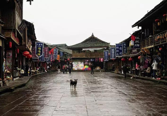 小猫钓鱼开船版最新版下载